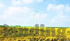 mk国内官网-MK国内官网，一个品牌故事与数字空间的交汇点