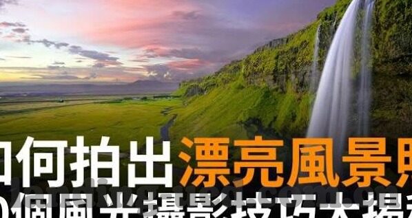 森林舞会app能下分-森林舞会APP，娱乐与收益并重的数字新体验